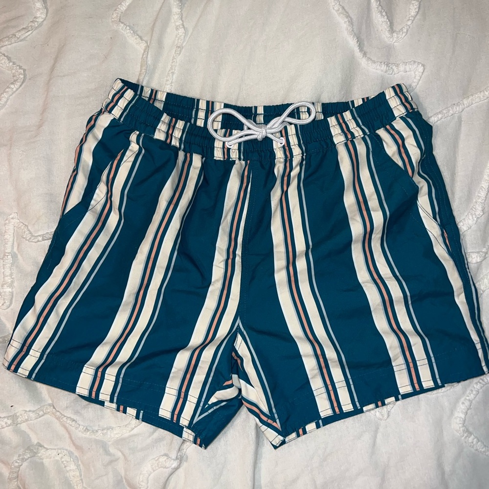 Pacsun 5in Swimming Trunks